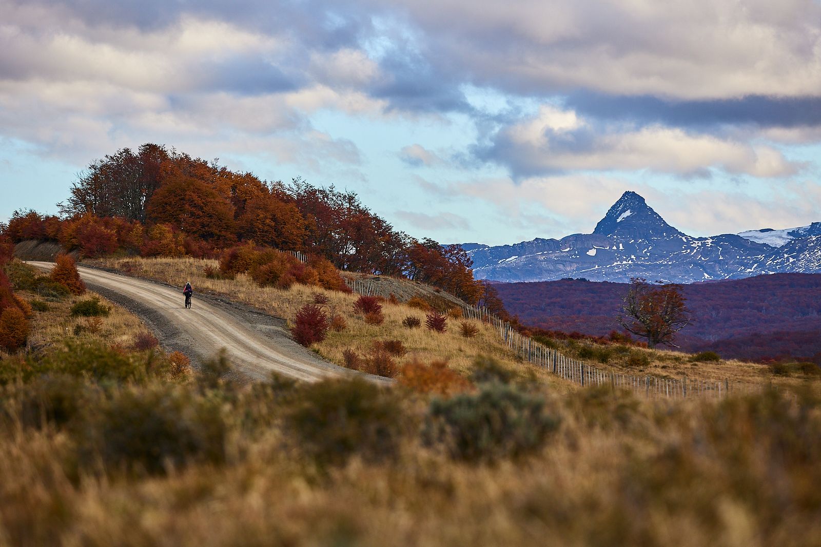 GDF-5-2024-cdiazphoto 108